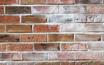 EFFLORESCENCE: THAT ANNOYING WHITE STUFF ON MASONRY WALLS