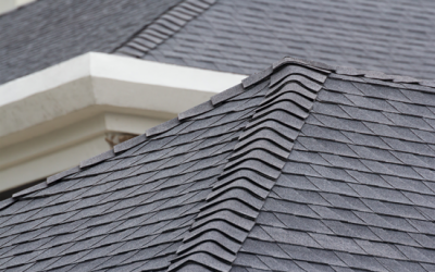 WHAT DID THE SNOW HIDE? 10 SPRING SLOPED ROOF INSPECTION ITEMS