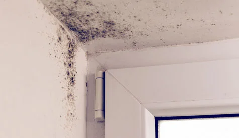 Problem of Mould